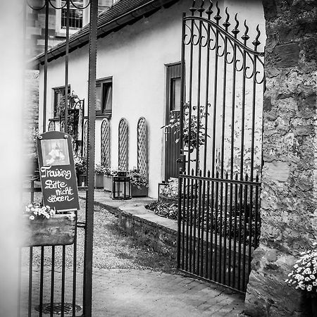 Schloss Neuburg Hotel Mosbach  Exterior foto